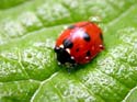 Sous la pluie
